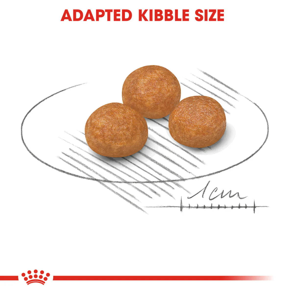 Royal Canin X-Small Adult (1.5 KG) - Dry food for very small dogs up to 4 KG. from 10 months to 8 years