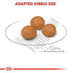 Royal Canin X-Small Adult (1.5 KG) - Dry food for very small dogs up to 4 KG. from 10 months to 8 years