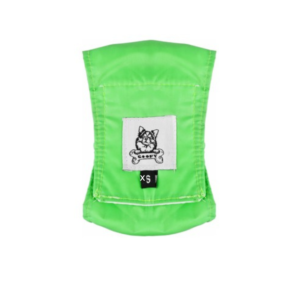Goofy Male Diaper XS