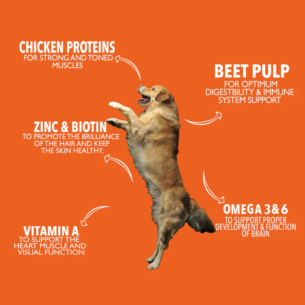 Legends Wholesome Chicken Feed For Adult Dogs