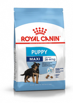 Royal Canin Maxi Puppy