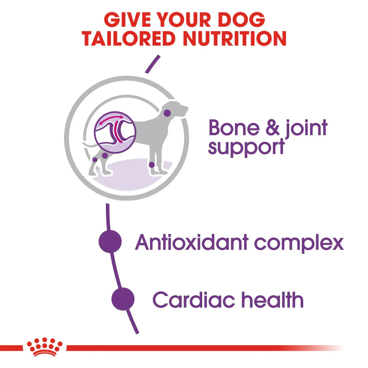 Royal Canin Giant Adult- Dry food for giant active dogs. Adult weight from 45 kg and over - over 18\24 months