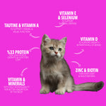 Legends For Kitten Dry Food