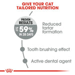 Royal Canin Oral Care (1.5 KG) Dry Food for adult cats - helps reduce tartar formation