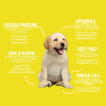 Legends For Puppies & Junior Dogs