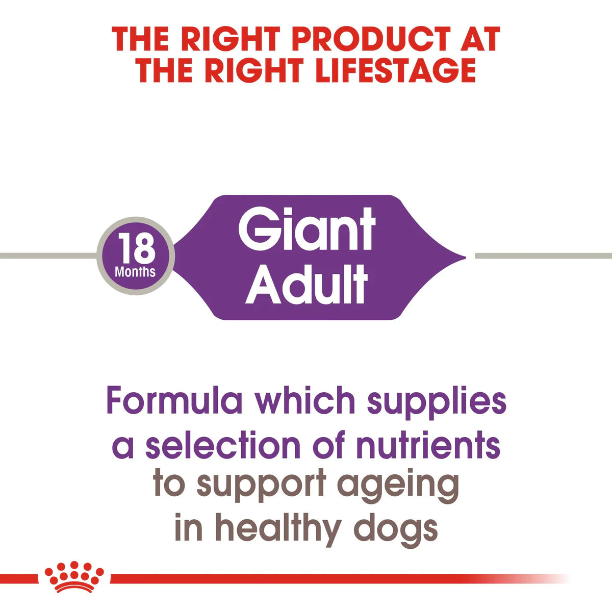 Royal Canin Giant Adult- Dry food for giant active dogs. Adult weight from 45 kg and over - over 18\24 months