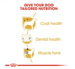 Poodle Adult Dog Dry Food 3KG
