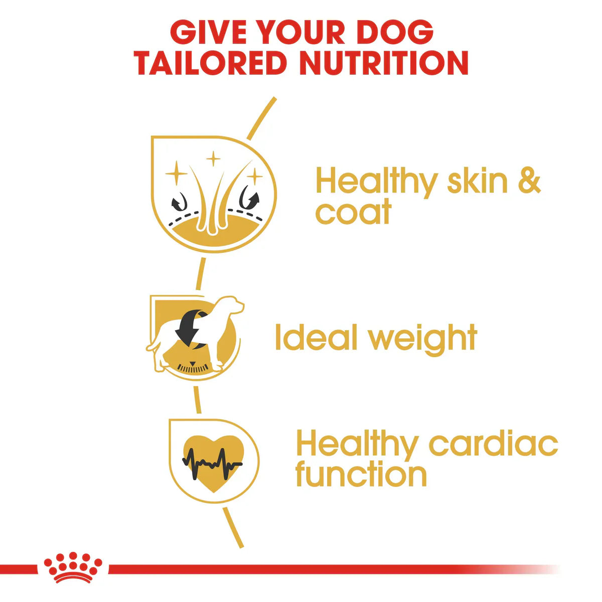 Royal Canin Cocker Adult (3 KG) - Dry food for adult Cocker dogs over 12 months