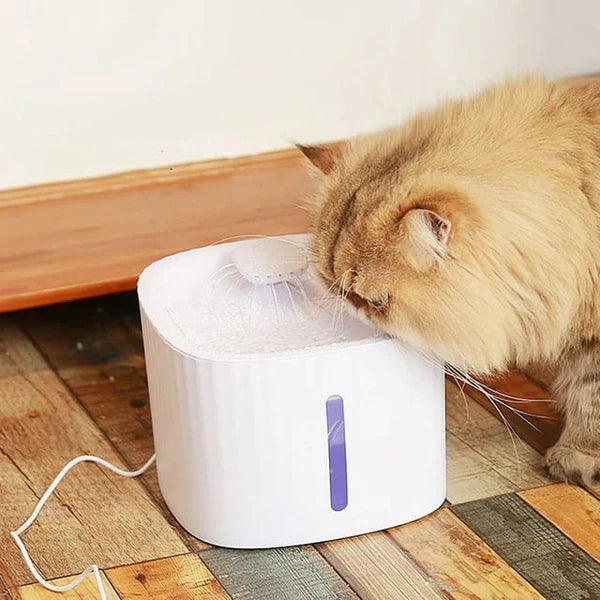 Naomi -YT23083-2 Pet Water Fountain