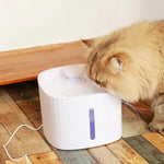 Naomi -YT23083-2 Pet Water Fountain
