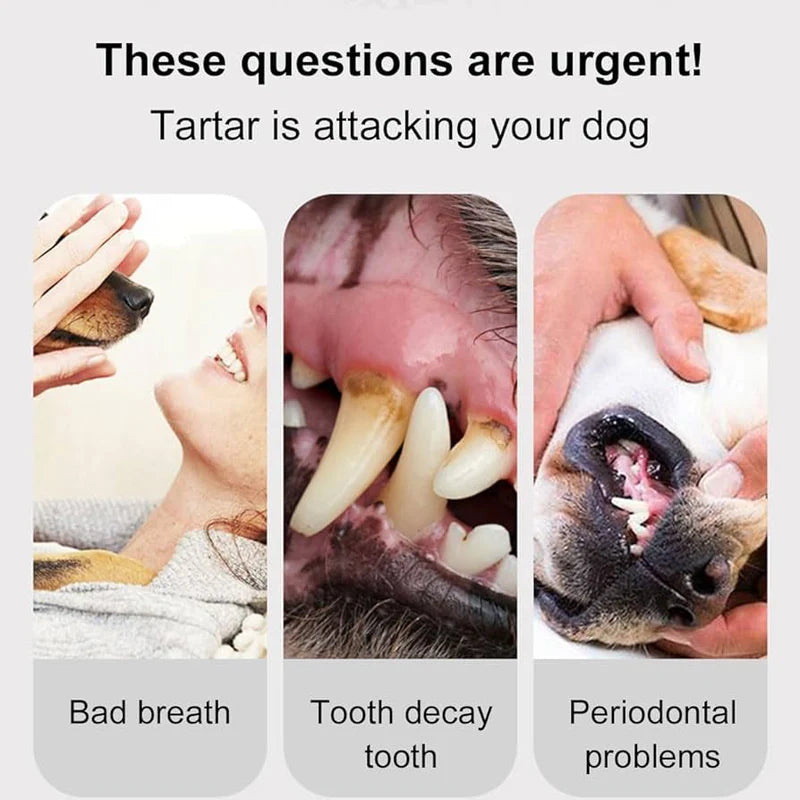 Dog Dental Care Toothpaste Beef Flavor – Oral Care for Dogs (95g)
