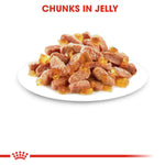 Royal Canin Kitten In Jelly (85gm\ Pouch) - Wet Food
