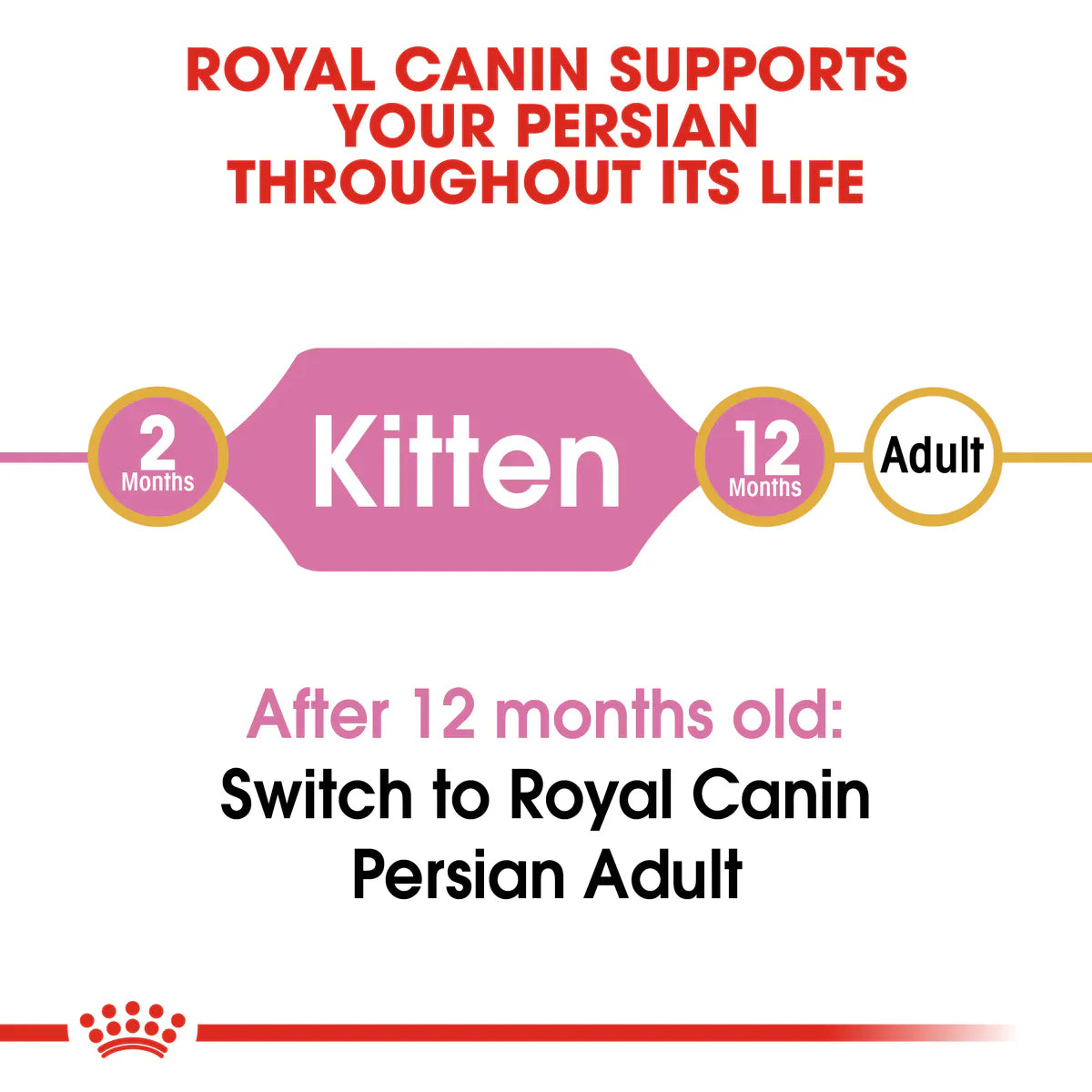 Royal Canin Persian Kitten (2KG) - Talapets