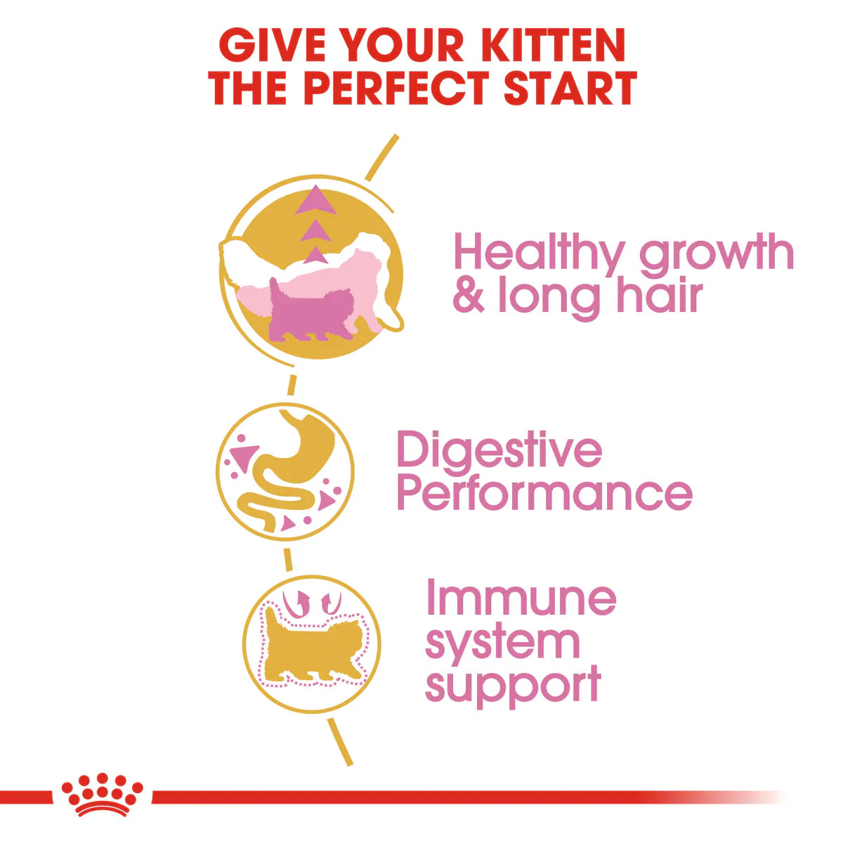Royal Canin Persian Kitten (2KG) - Talapets