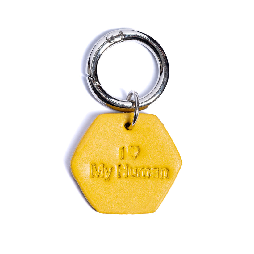 PawPaw Collar Charm - I Love My Human