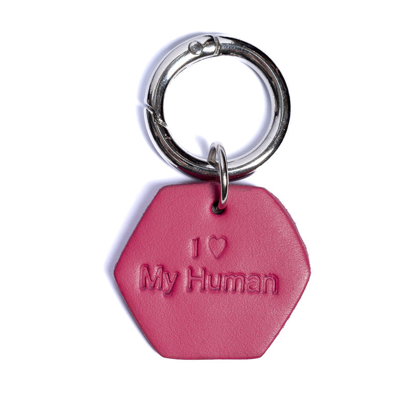 PawPaw Collar Charm - I Love My Human