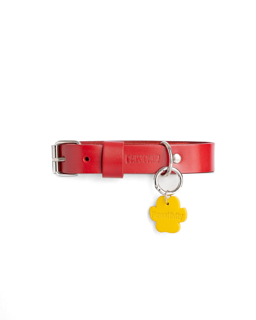 PawPaw Collar Charm - Pawsitivity