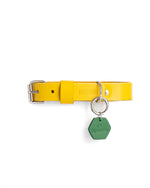 PawPaw Collar Charm - I Love My Human
