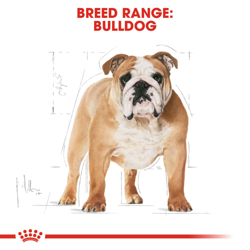 Royal Canin Bulldog Adult (3KG) - Talapets
