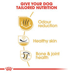 Royal Canin Bulldog Adult (3KG) - Talapets