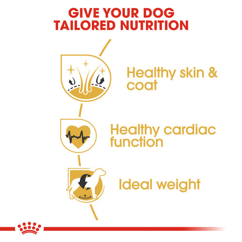 Royal Canin Golden Retriever Adult Dry Dog Food (3 KG) - Talapets