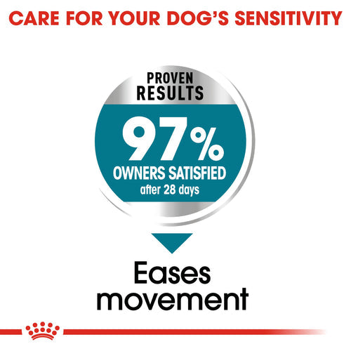 Royal Canin Maxi Joint Care (10 KG)- Dry Foodprone to joint sensitivity