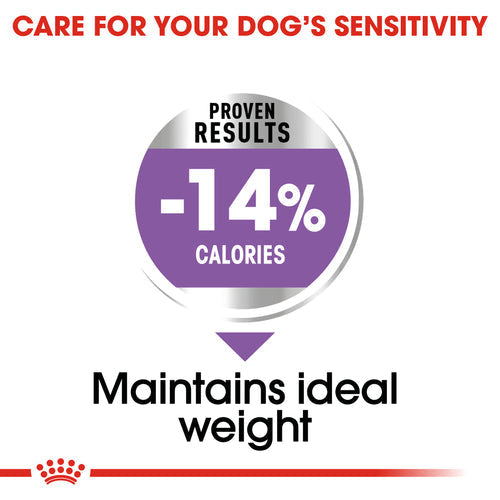 Royal Canin Mini Sterilised (3 KG) - Talapets