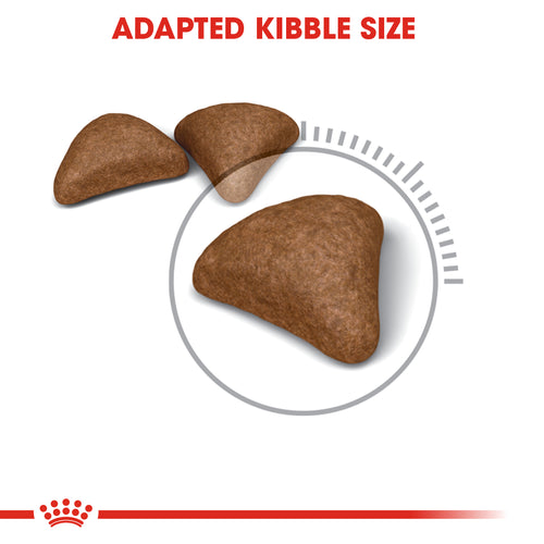 Royal Canin Hairball Care Dry Food (400G/2KG) - Talapets