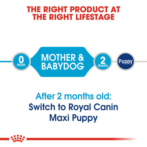 Royal Canin Maxi Starter Dry Mother & Baby Food (4KG/15KG) - Talapets