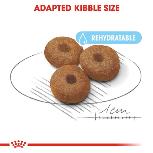 Royal Canin Maxi Starter Dry Mother & Baby Food (4KG/15KG) - Talapets