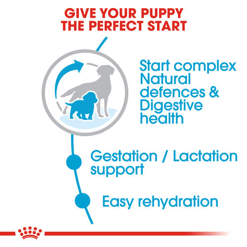 Royal Canin Medium Starter Mother and Babydog (4kg) - Mother during gestation and lactation - weaning puppies up to 2 months - Talapets