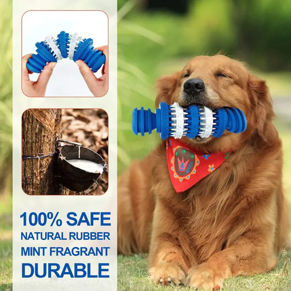 Nunbell Dog Chew Toy