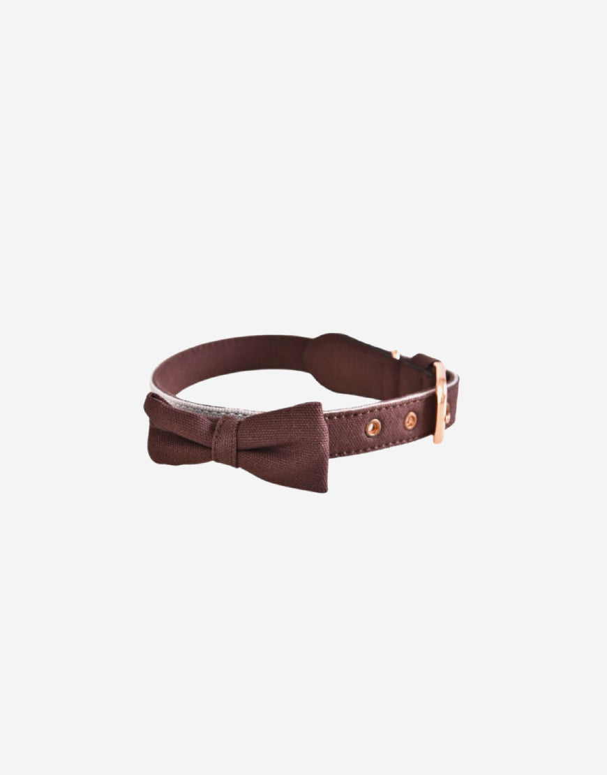 Naomi – YL103827 Pet Collar