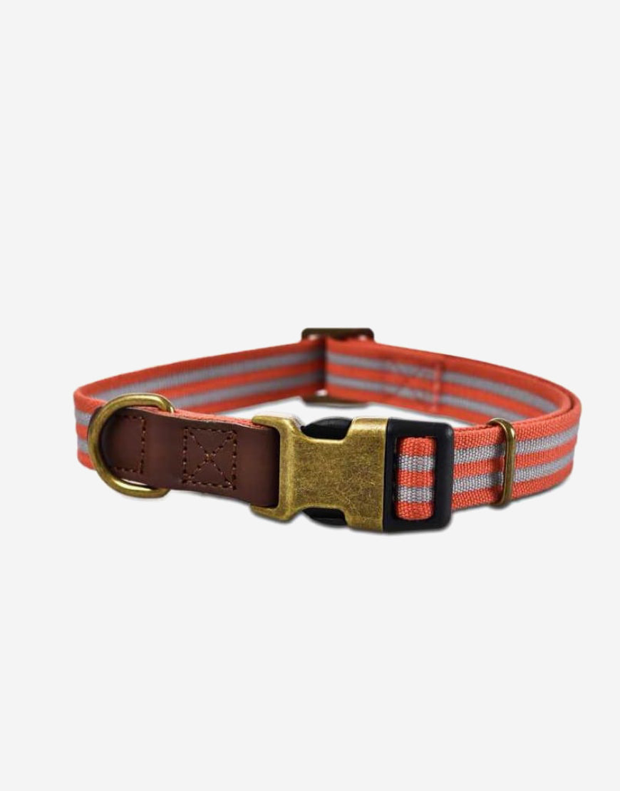 Naomi – YL109751 Pet Collar