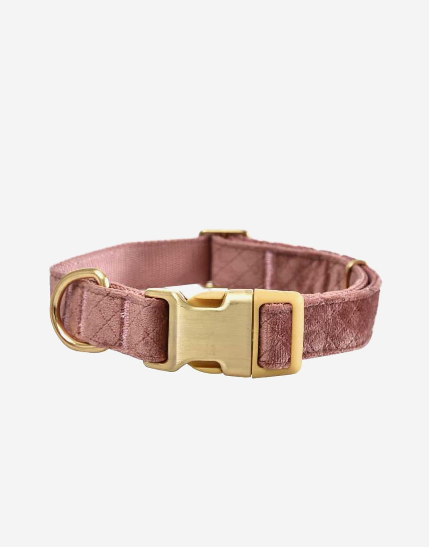 Naomi – YL109752 Pet Collar