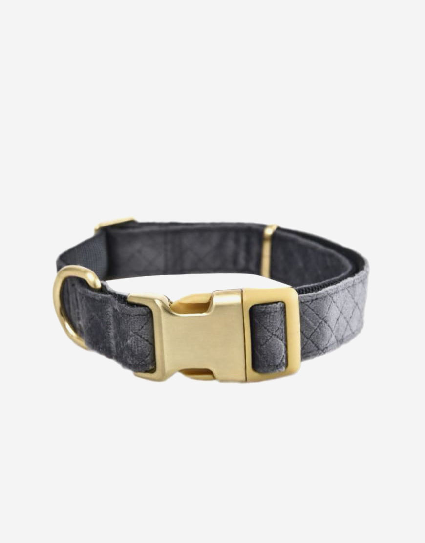 Naomi – YL109752 Pet Collar