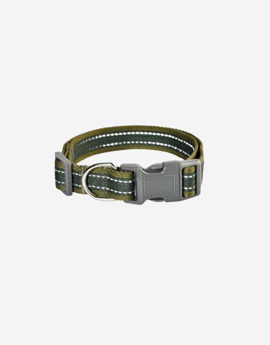Naomi –YL119453 Pet Collar