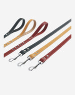 Naomi -YL72271 Pet leash
