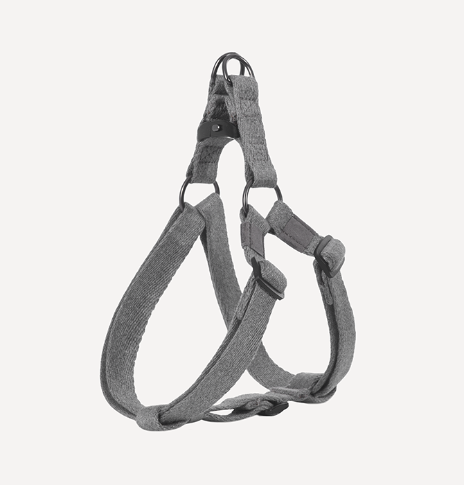 DOGNESS Earth Leash + Harness (3 Sizes)