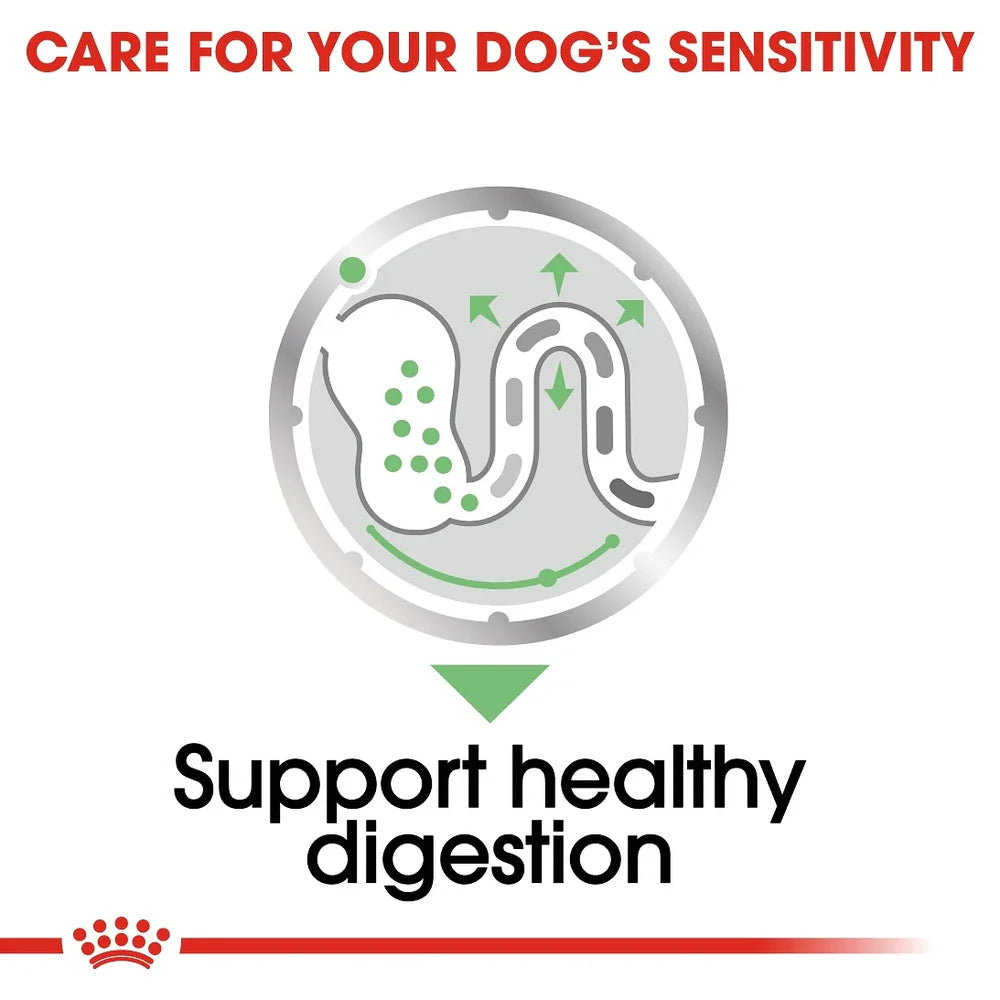 Royal Canin Digestive Care Dog Pouch Loaf 85g