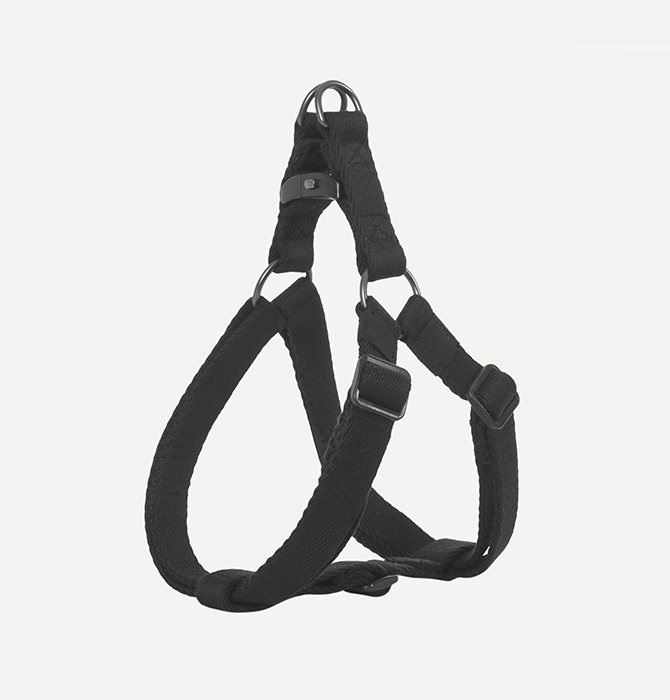 DOGNESS Earth Leash + Harness (3 Sizes)