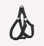 DOGNESS Earth Leash + Harness (3 Sizes)