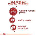 Royal Canin Fit 32 (2KG) Dry food for cats - Talapets