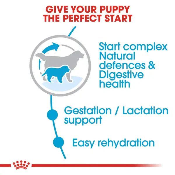 Royal Canin Giant Starter 15KG