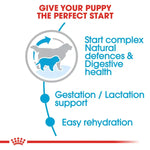Royal Canin Giant Starter 15KG