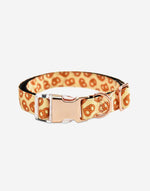 Naomi -YL107710 Pet Collar