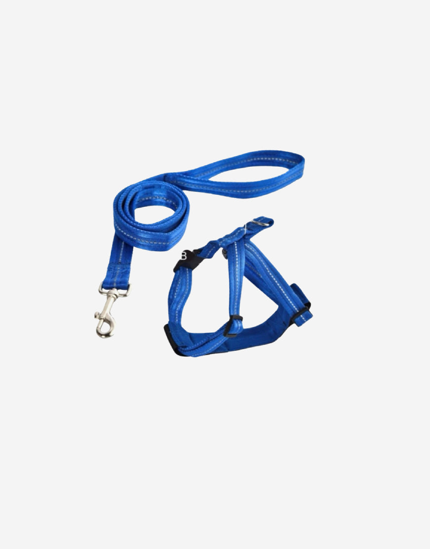 Naomi –YL117367 Pet Harness &Leash