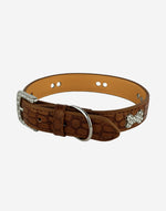 Naomi –YL77376 Pet Collar