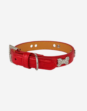 Naomi –YL77376 Pet Collar