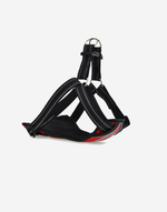 Naomi – YL107799 Pet Harness